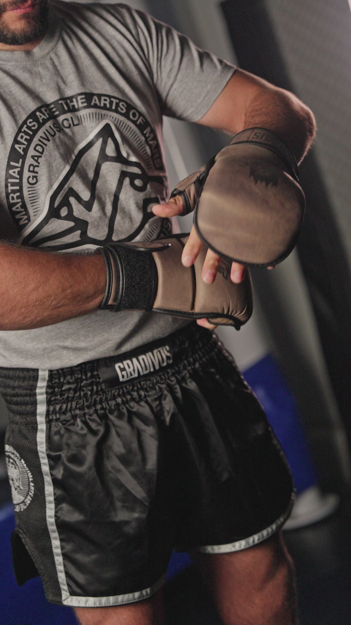 Guantes MMA SparPro Roma