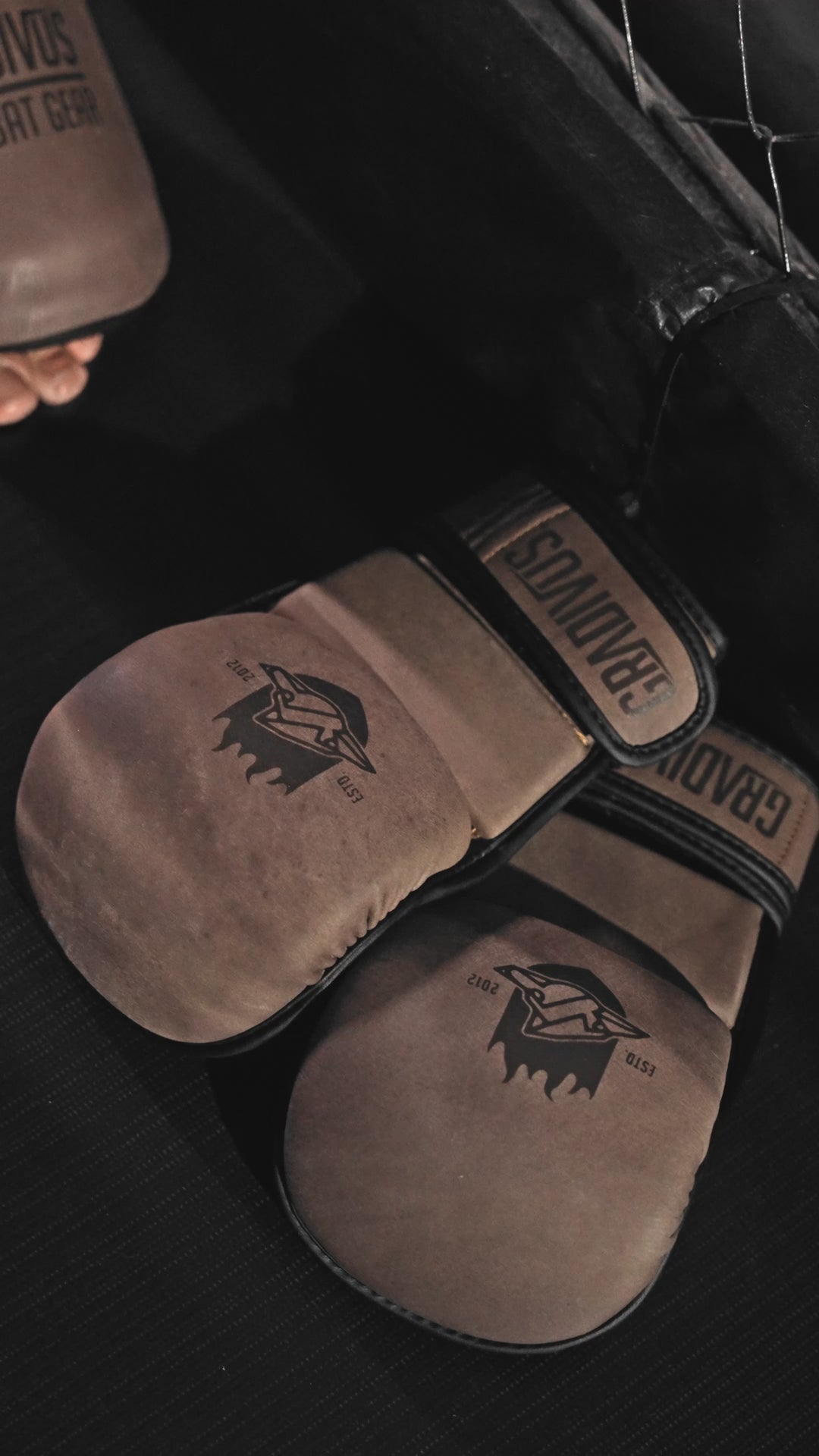 Guantes MMA SparPro ROMA