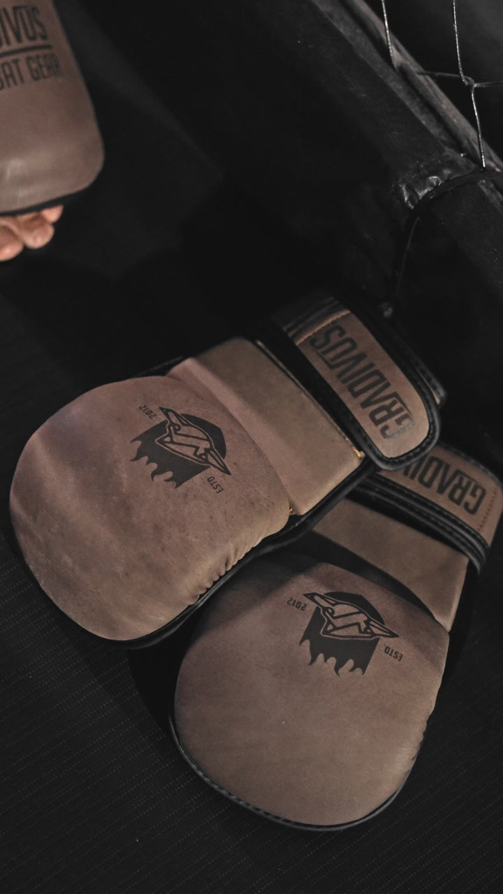 Guantes MMA SparPro ROMA