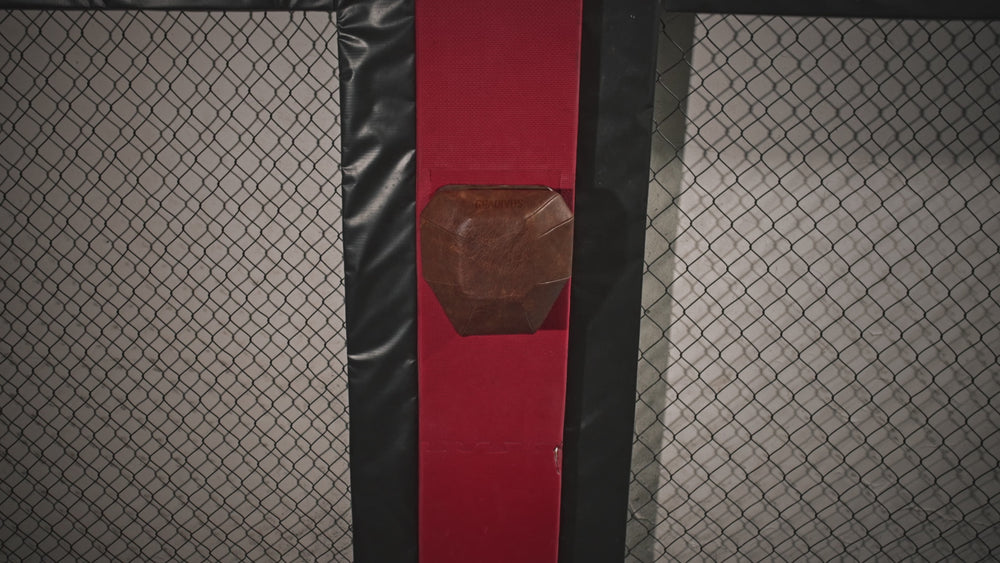 Boxeo Artes Marciales Kickboxing Gradivus Bully