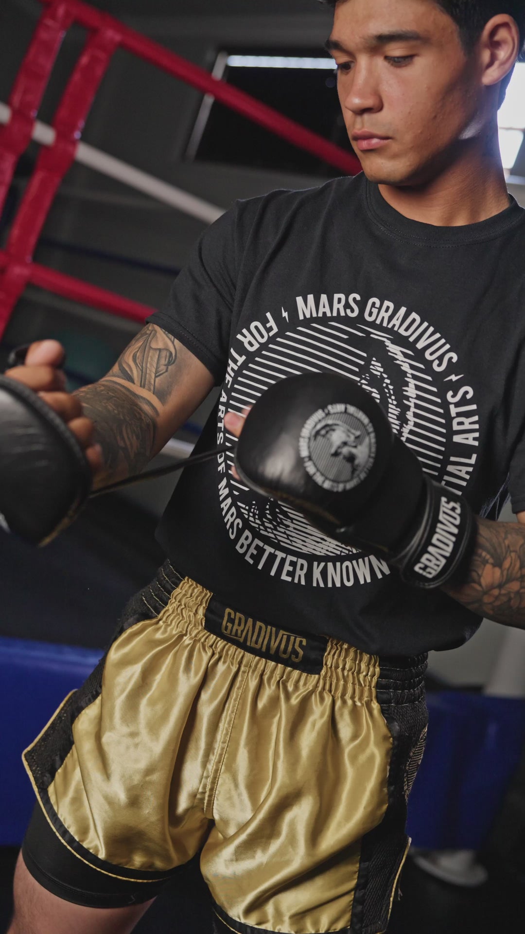 Guantes MMA Híbridos SparPro (Nuevo)