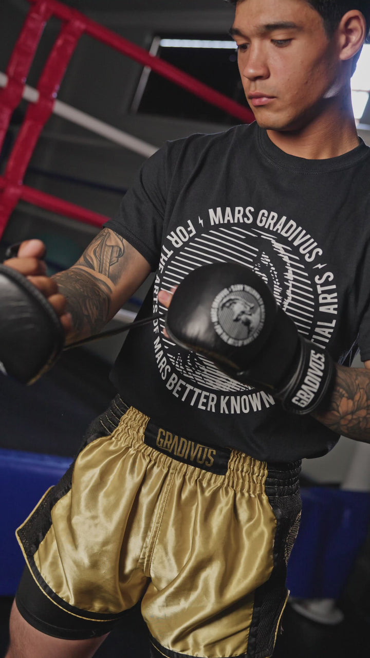 Guantes MMA Híbridos SparPro (Nuevo)