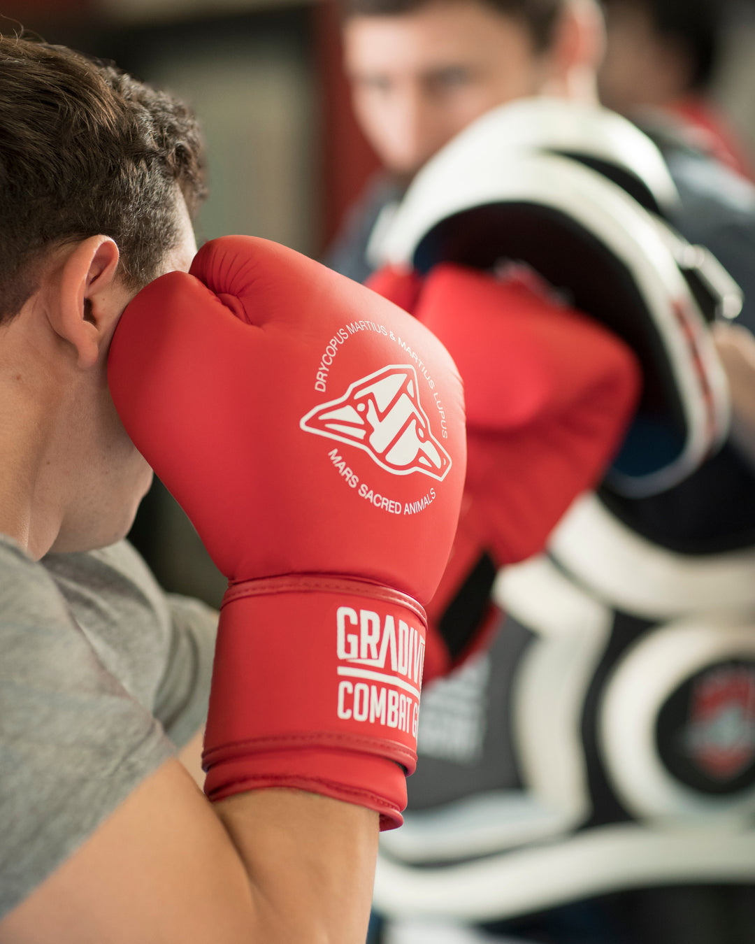Guantes de boxeo classic clasico boxing box kickboxing muay thai k1 sambo mma ufc bellator artes marciales mars gradivus subete al ring jaula deporte salud entrenamiento pelea combate full contact rojo blanco