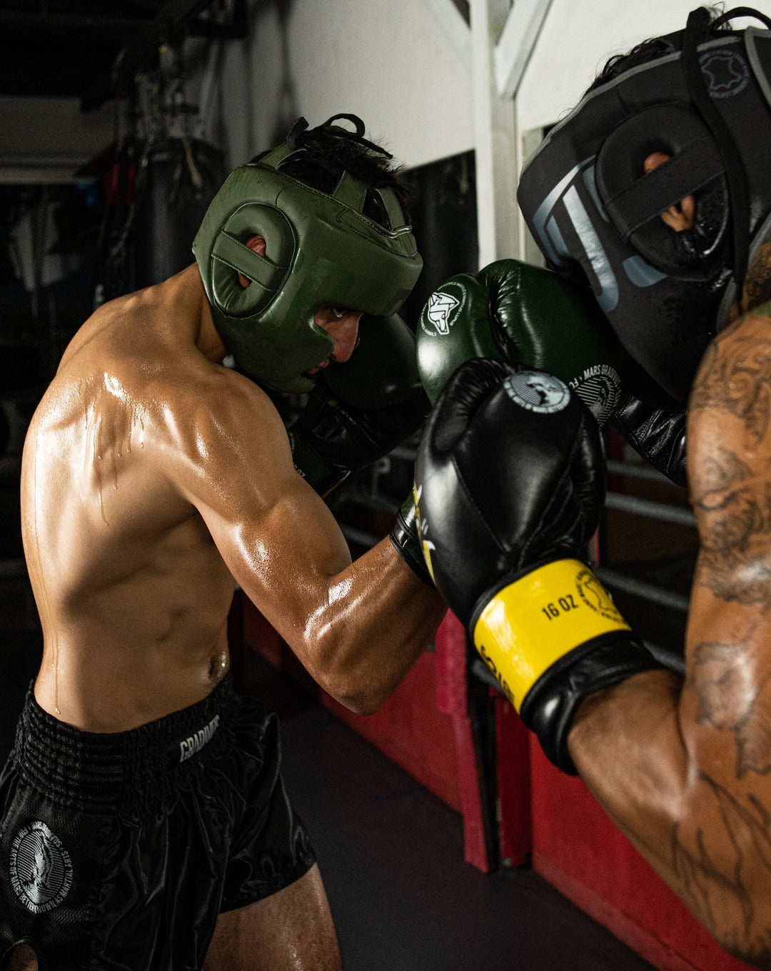 cabezal de cuero autentico gradivus verde kickboxing boxeo box artes marciales muay tahi mma ufc bellator hecho a mano importado mars martial arts 