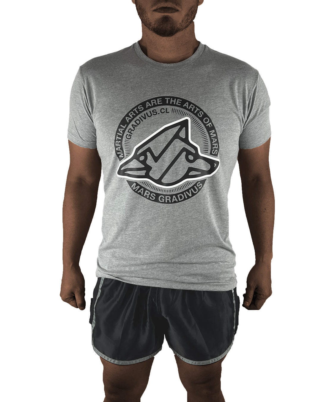Gray T-Shirt