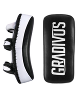 Thai Pads Pro Standard