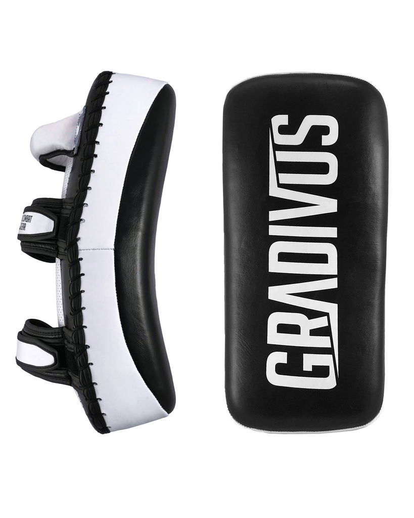Thai Pads Pro Standard