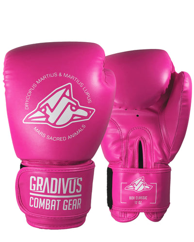 GRADIVUS Combat Gear - Equipamiento para Artes Marciales y Combate