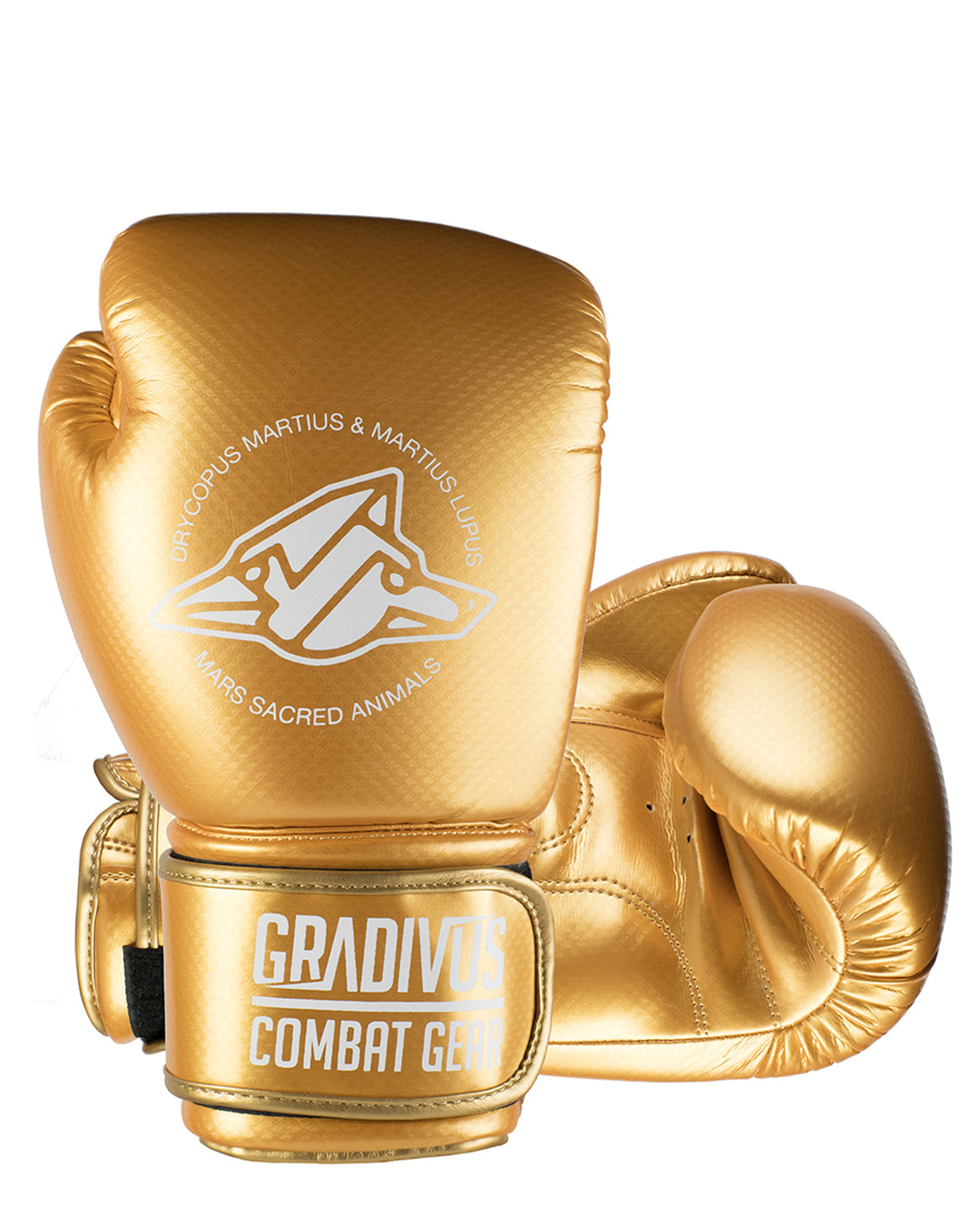 guantes de boxeo diamond mars gradivus boxing box kickboxing muay thai k1 mma sambo ufc bellator subete al ring dorado