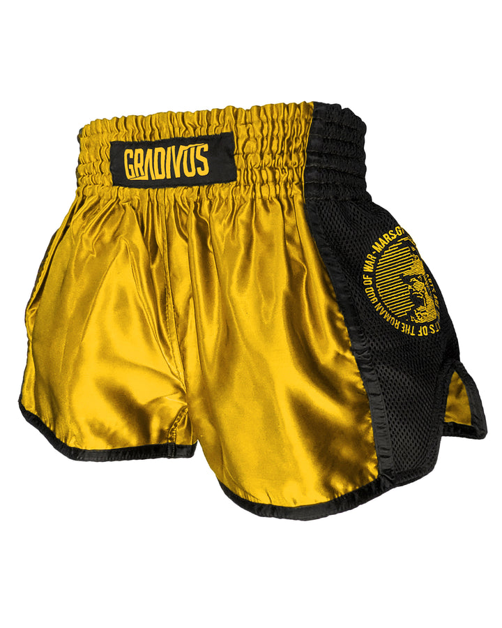 Shorts Ring Fighter